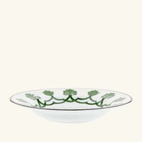 بينتو باريس طبق الحساء جايبور أخضر 22 سم