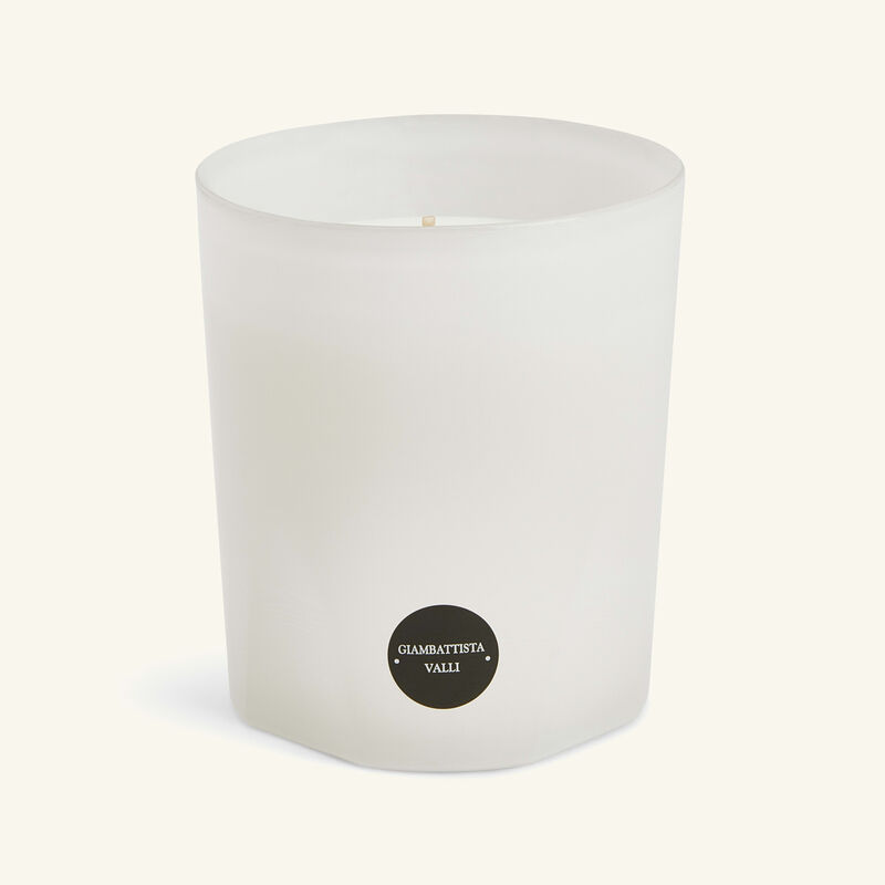 Rose Poivrée Giambattista Valli Candle 270g trudon rose poivr e giambattista valli candle 270g