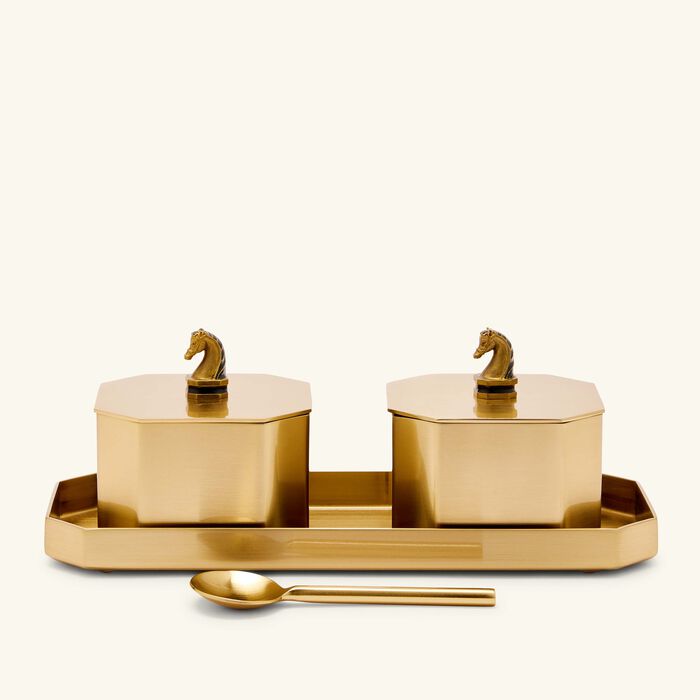 إيرا أودايبور طقم أشوا مخواص مؤلف من علبتين لحفظ التوابل باللون الذهبي   مصمم كهدية