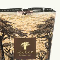 baobab collection sacred trees mankono candle max 24