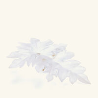 دوم منحوتة بورنيو الجدارية الكبيرة على شكل ورقة شجر بيضاء