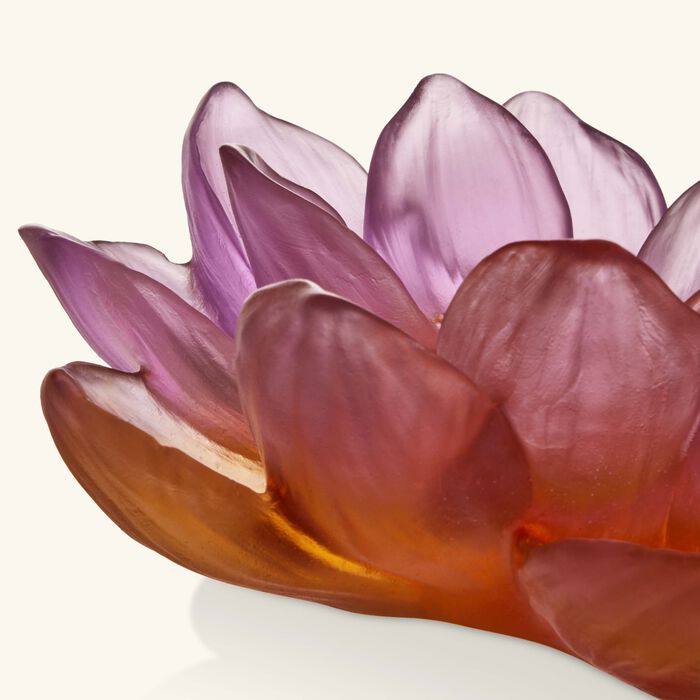 daum jardin de lotus decorative flower pink
