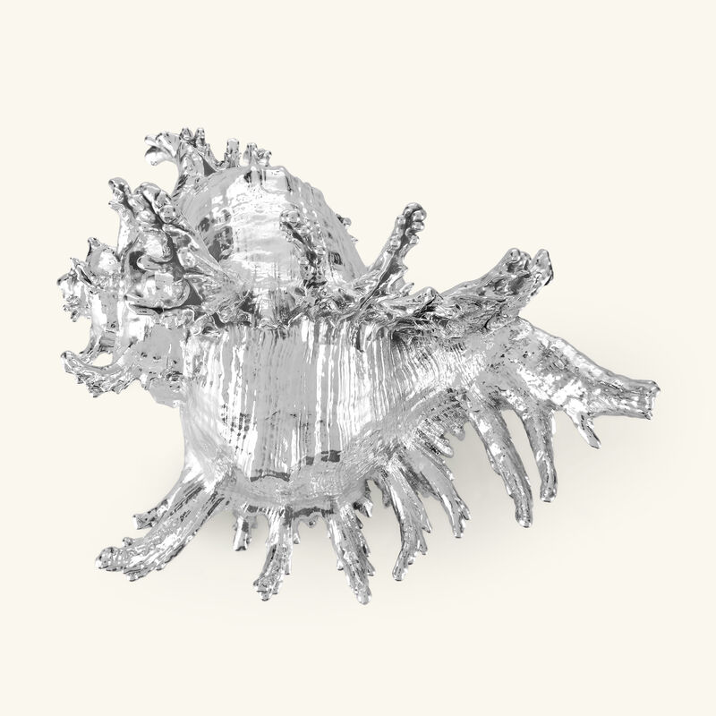 Mures Ramosus Shell Figurine Small Silver buccellati mures ramosus shell figurine small silver