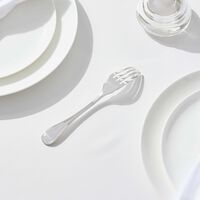 كريستوفل شوكة السمك آلبي باللون الفضي