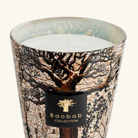 Sacred Trees Morondo Candle Max 24 baobab collection sacred trees morondo candle max 24