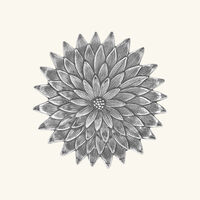 وعاء على شكل شقائق النعمان فضي بحجم صغير بوتشيلاتي وعاء على شكل شقائق النعمان فضي بحجم صغير