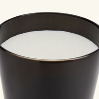 baobab collection encre de chine candle maxi max