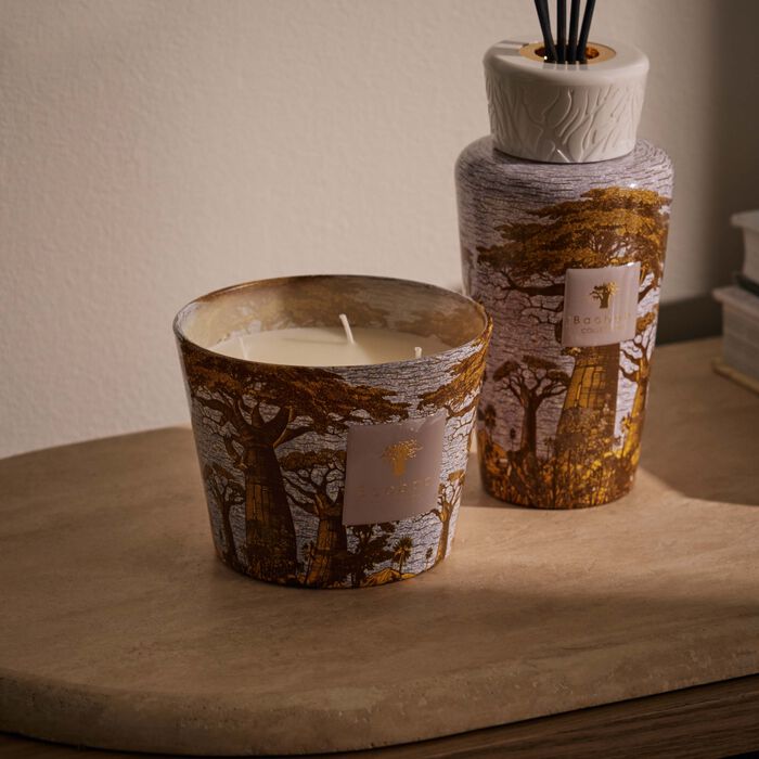 baobab collection sacred trees boukani candle max 10