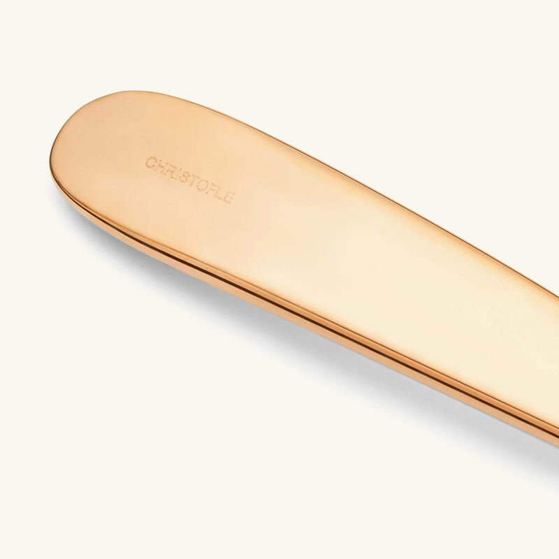 كريستوفل سكين السمك لام دو فيش وردي