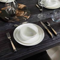 Acrylic Handle Soup Spoon Silver Set of 6 forge de laguiole acrylic handle soup spoon silver set of 6