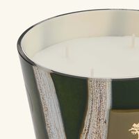 baobab collection woods sherwood candle max 10