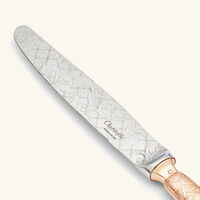 Jardin D'Eden Knife Pink christofle jardin d eden knife pink