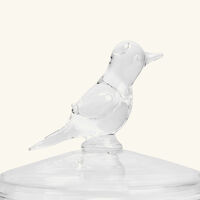 ira udaipur tota lota pitcher clear