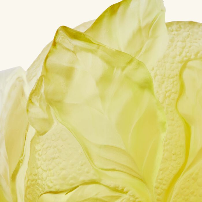 daum citrus vase medium yellow limited edition