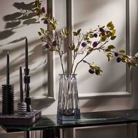 باكارا مزهرية هاركورت تاليراند إمينانس جريز متوسطة شفافة