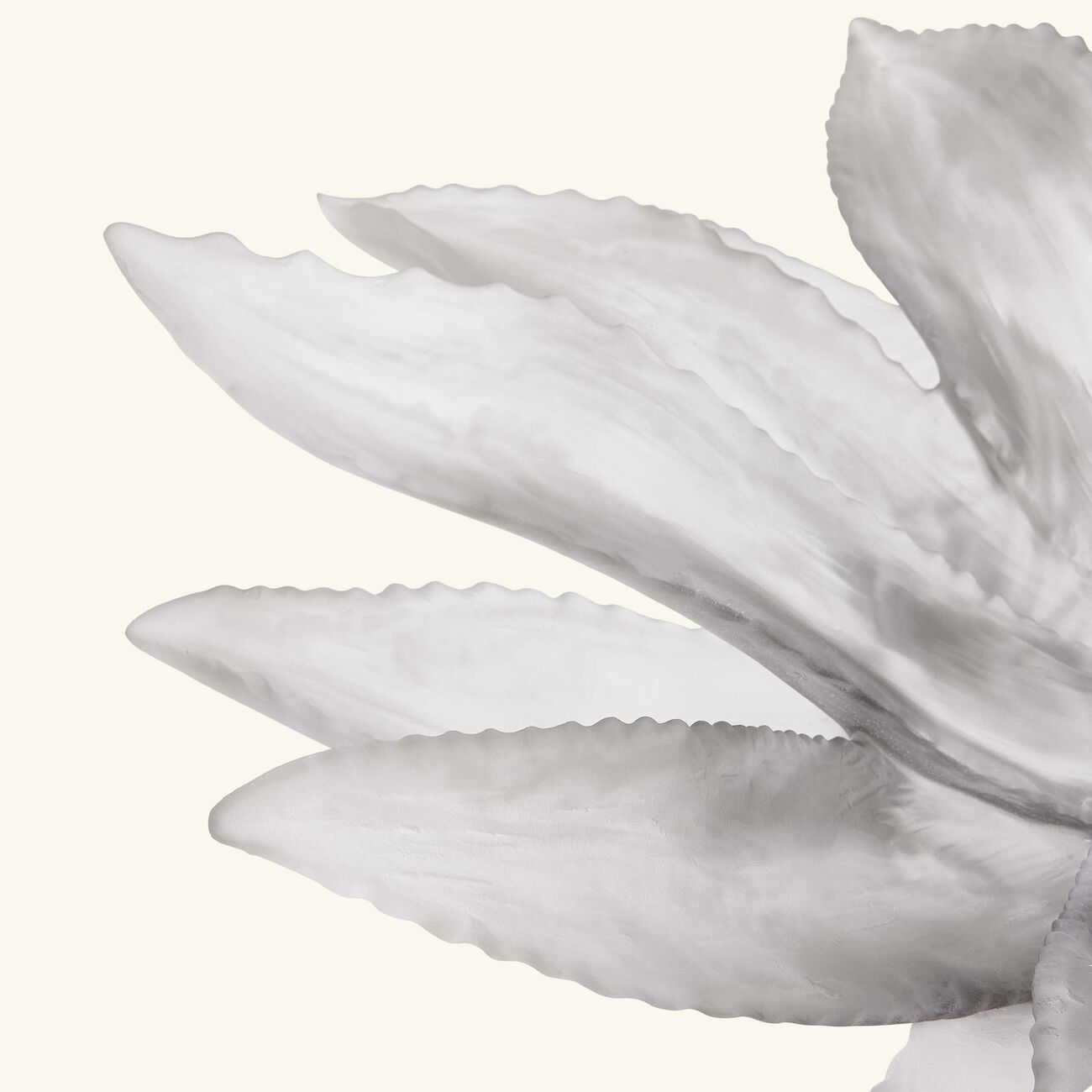 Cactus Centrepiece Grey daum cactus centrepiece grey