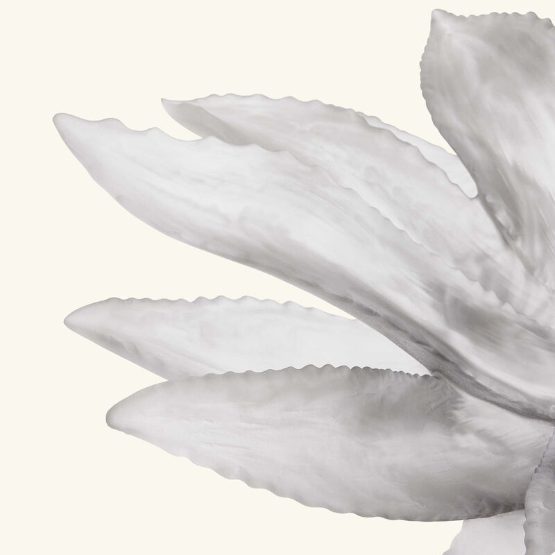 Cactus Centrepiece Grey daum cactus centrepiece grey