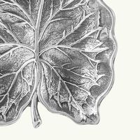 Arum Leaf Bowl Mini buccellati arum leaf bowl mini