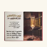 Swans Bar Book 20x13cm assouline swans bar book 20x13cm