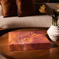 Kites of the Desert Archaeological Mysteries of Saudi Arabia Book 47x40cm assouline kites of the desert archaeological mysteries of saudi arabia book 47x40cm