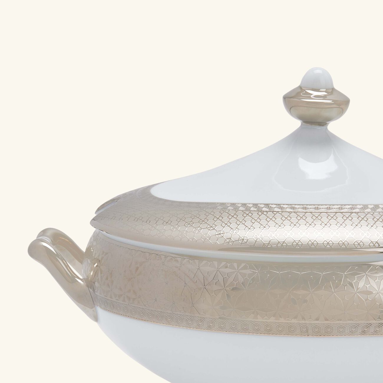 Divine Soup Tureen Silver bernardaud divine soup tureen silver