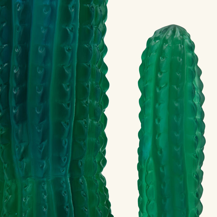 دوم مزهرية جاردان دو كاكتوس متوسطة خضراء