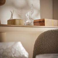 لاليك منحوتة تيرامينيرال آيبيكس متوسطة الحجم شفافة