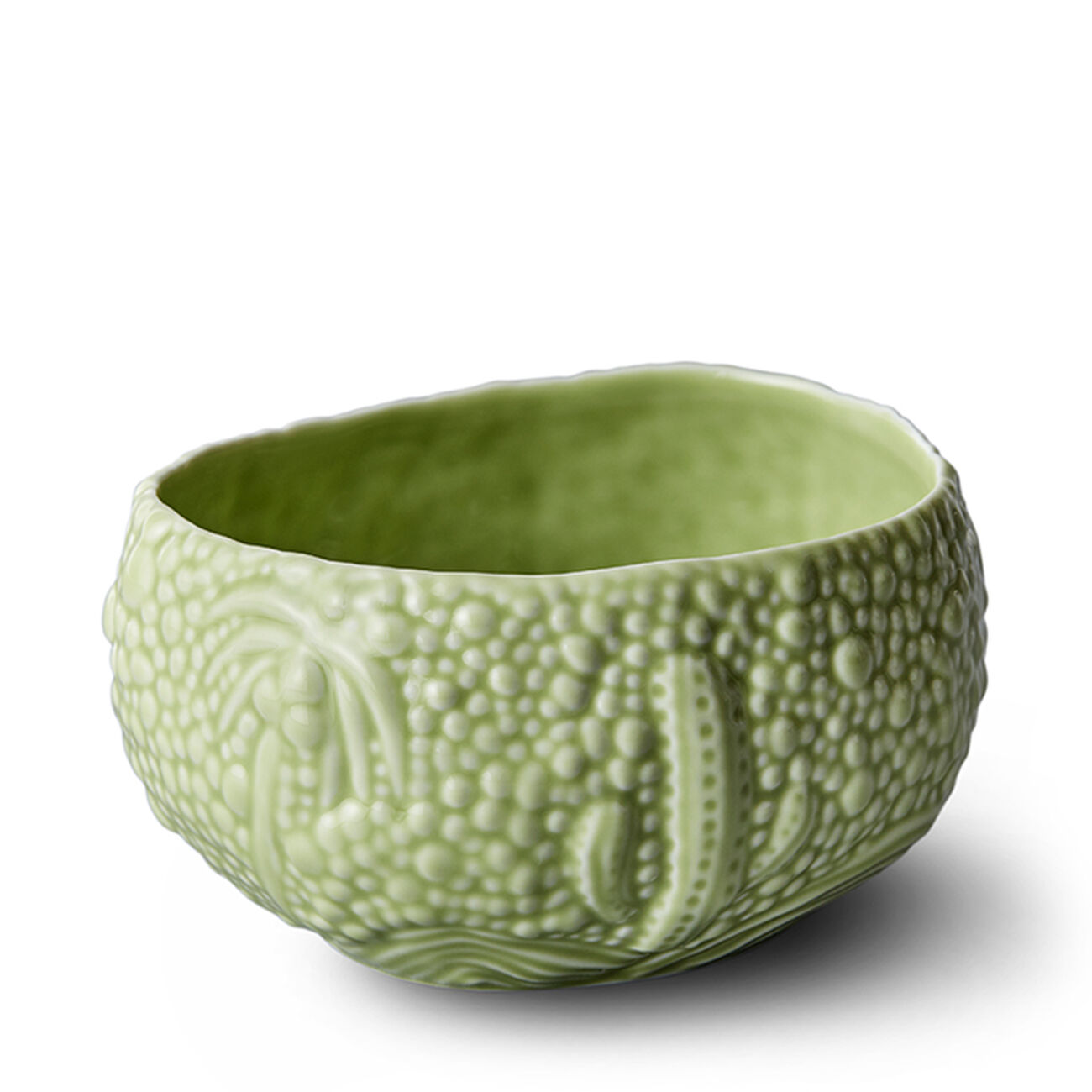 Practical and Versatile Set l objet practical and versatile set