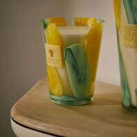 باوباب شمعة ريفييرا سانتو سوسبير ماكس 24