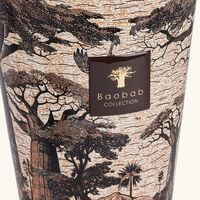 Sacred Trees Mankono Candle Max 35 baobab collection sacred trees mankono candle max 35