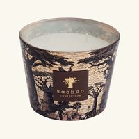 Sacred Trees Mankono Candle Max 10 baobab collection sacred trees mankono candle max 10