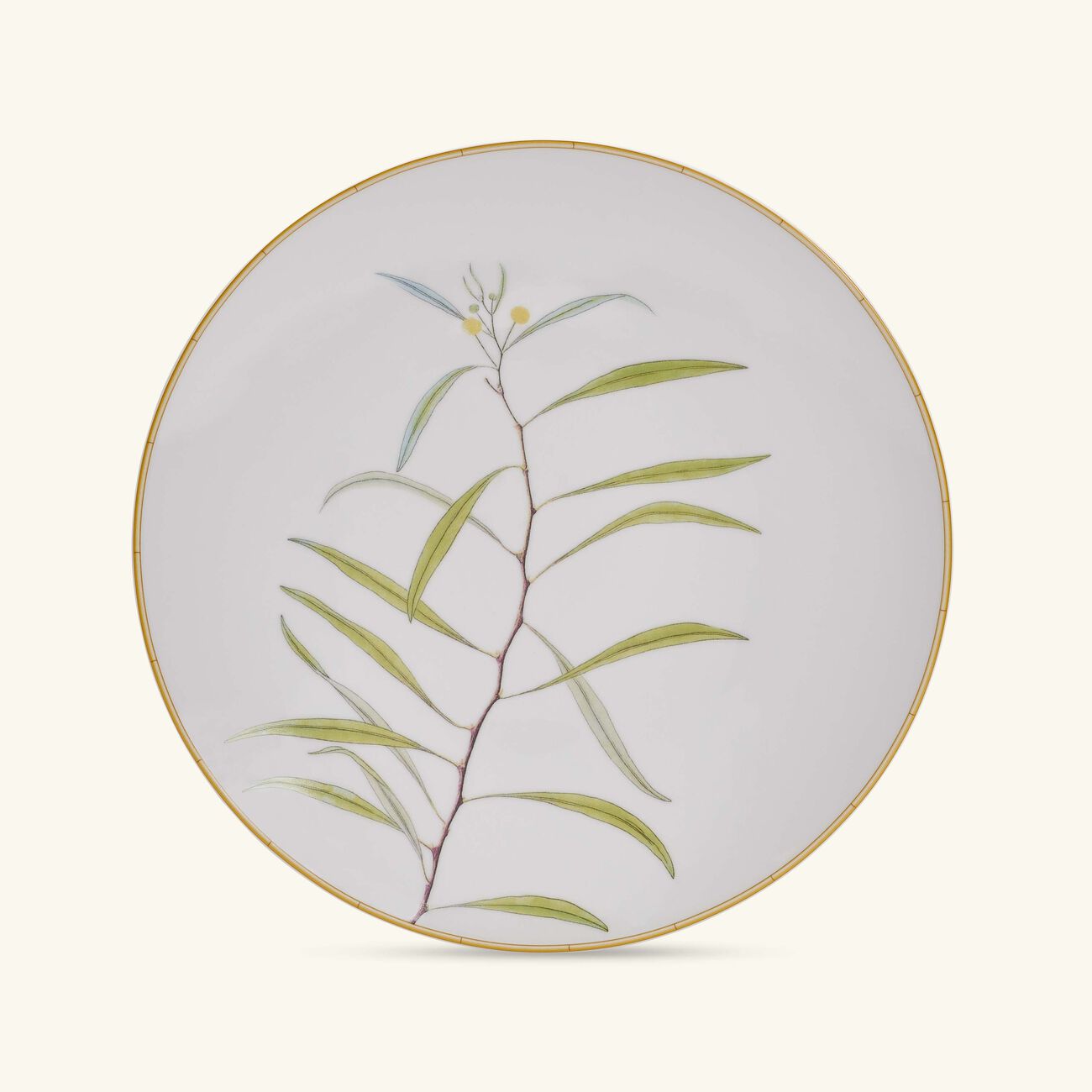 Jardin Indien Dinner Plate Round White 27cm bernardaud jardin indien dinner plate round white 27cm