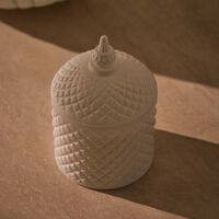 light of sakina cranberry   fig candle 350 ml