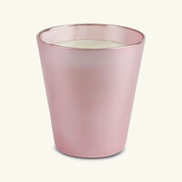 baobab collection roseum candle max 16