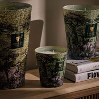 باوباب شمعة سيكرد تريز توبا المعطرة ماكس 16