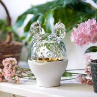 باكارا علبة زو فروغ بيضاء