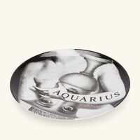 Tema e Variazioni no.358 Aquarius Wall Plate fornasetti tema e variazioni no 358 aquarius wall plate