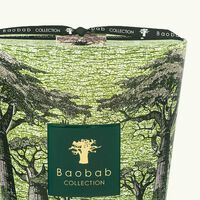 Sacred Trees Touba Candle Max 24 baobab collection sacred trees touba candle max 24