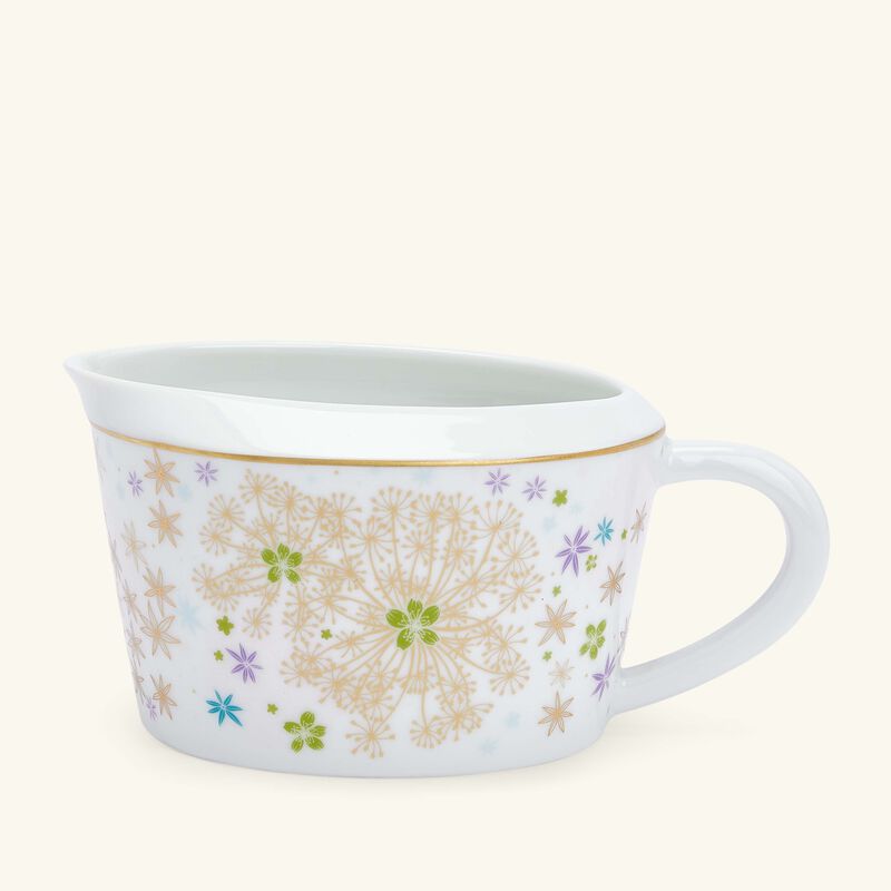 برناردو وعاء الصلصات فيري وردي