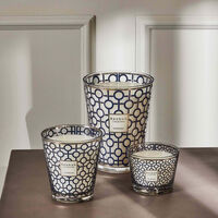 baobab collection gentlemen candle max 10