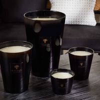 باوباب شمعة آنكر دو شين ماكس 16