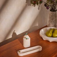 إيرا أودايبور قاعدة القرطااسية سايون توتا بيضاء