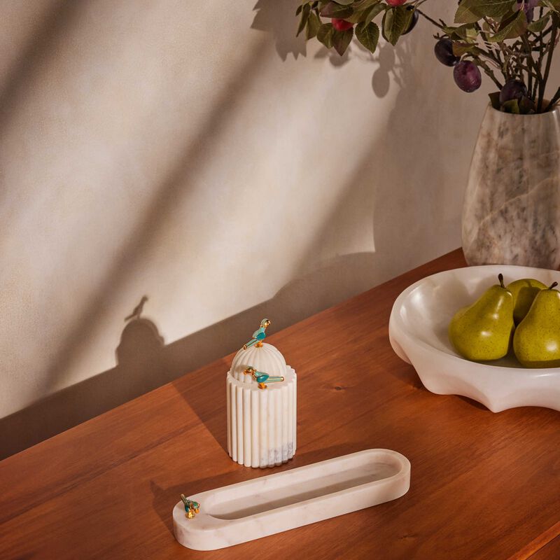 إيرا أودايبور قاعدة القرطااسية سايون توتا بيضاء