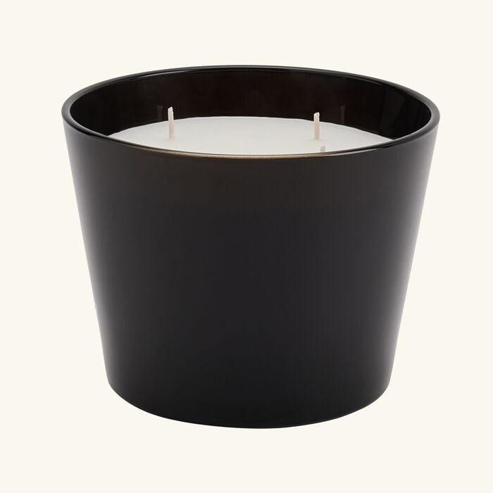 baobab collection encre de chine candle max 10