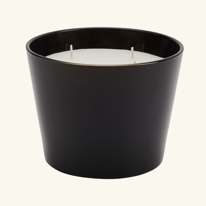 baobab collection encre de chine candle max 10