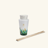 باوباب موزع العطر رينفورست أمازونيا 5 ل