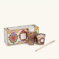 My First Baobab Mexico Gift Set baobab collection my first baobab mexico gift set