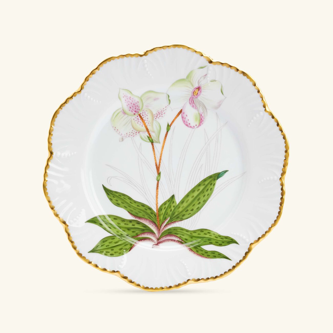 pinto paris histoires d orchidees dinner plate 26cm