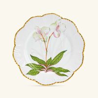 pinto paris histoires d orchidees dinner plate 26cm
