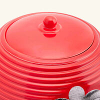 fornasetti serratura rigato vase red